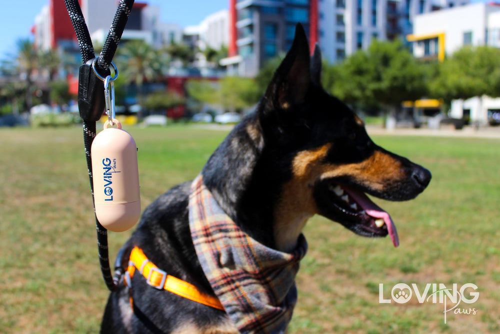 Loving Paws multi-use bags suitable for different pet waste and travel.
