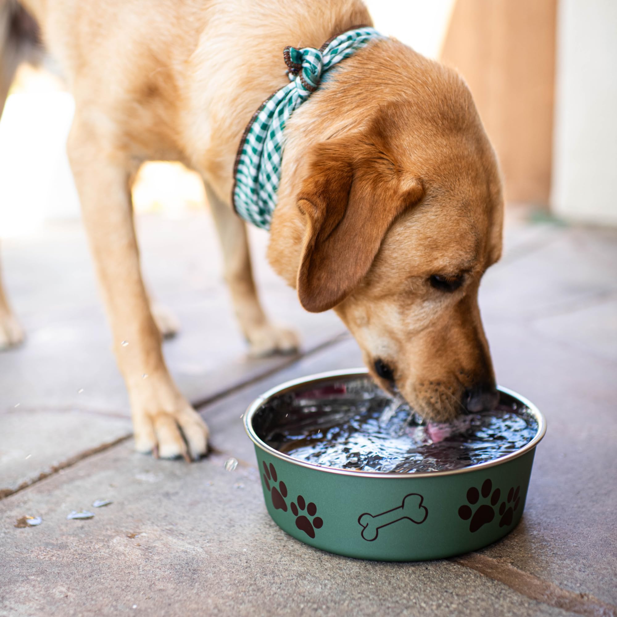 Loving Pets Bella Bowl artichoke green complements modern kitchens and pet spaces.