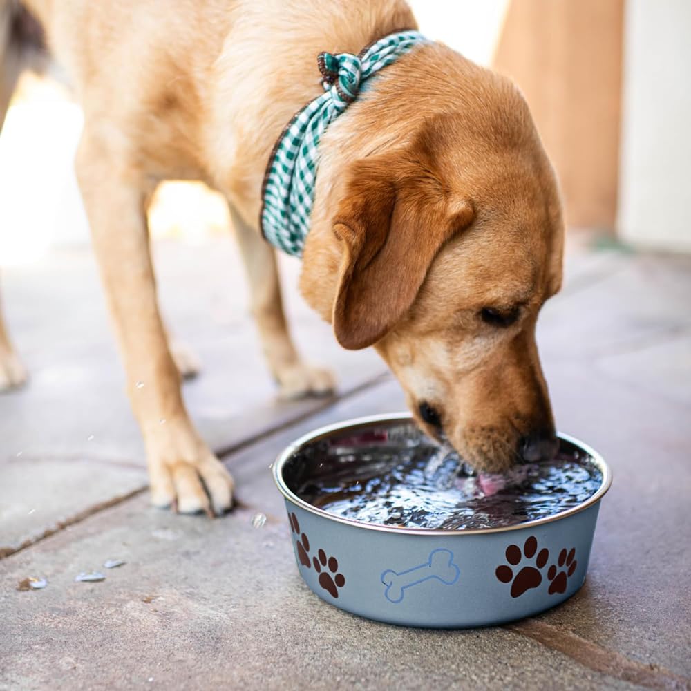 Blueberry Bella Bowl complements home decor and pet setup