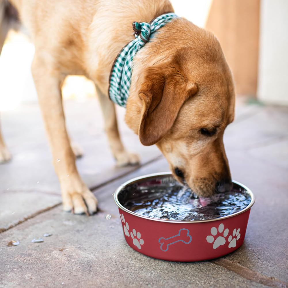 Loving Pets Bella Bowl is dishwasher safe for quick, hygienic cleanup.