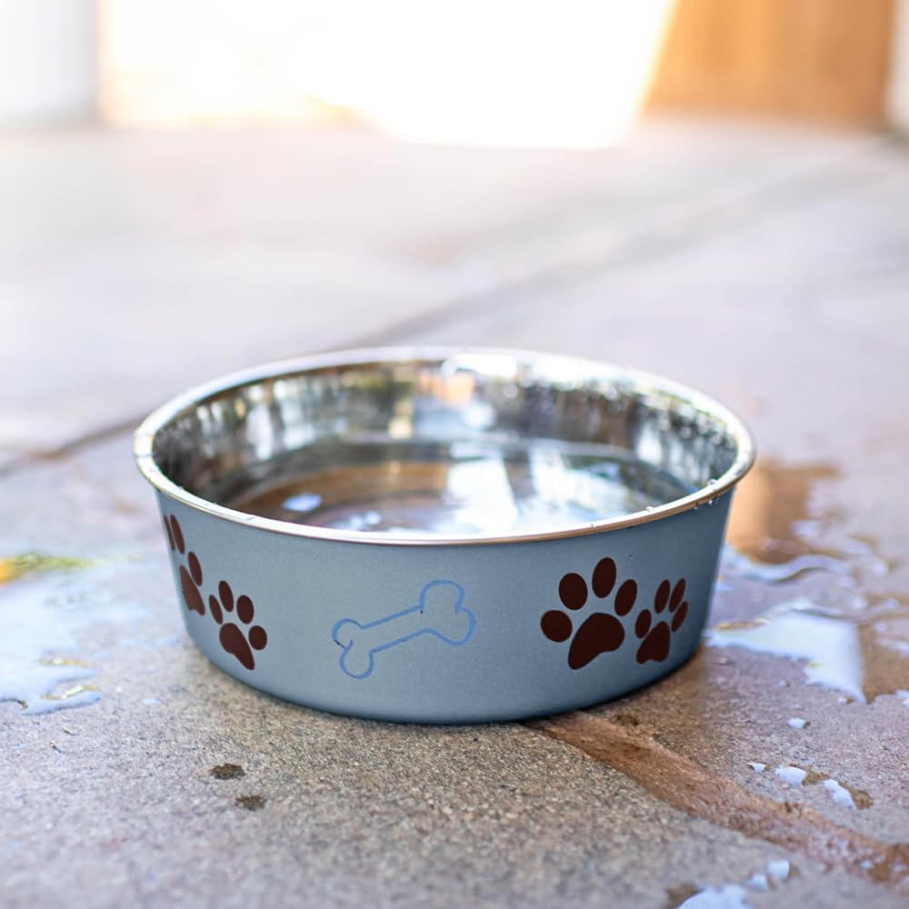Dishwasher-safe Bella Bowl for easy cleaning