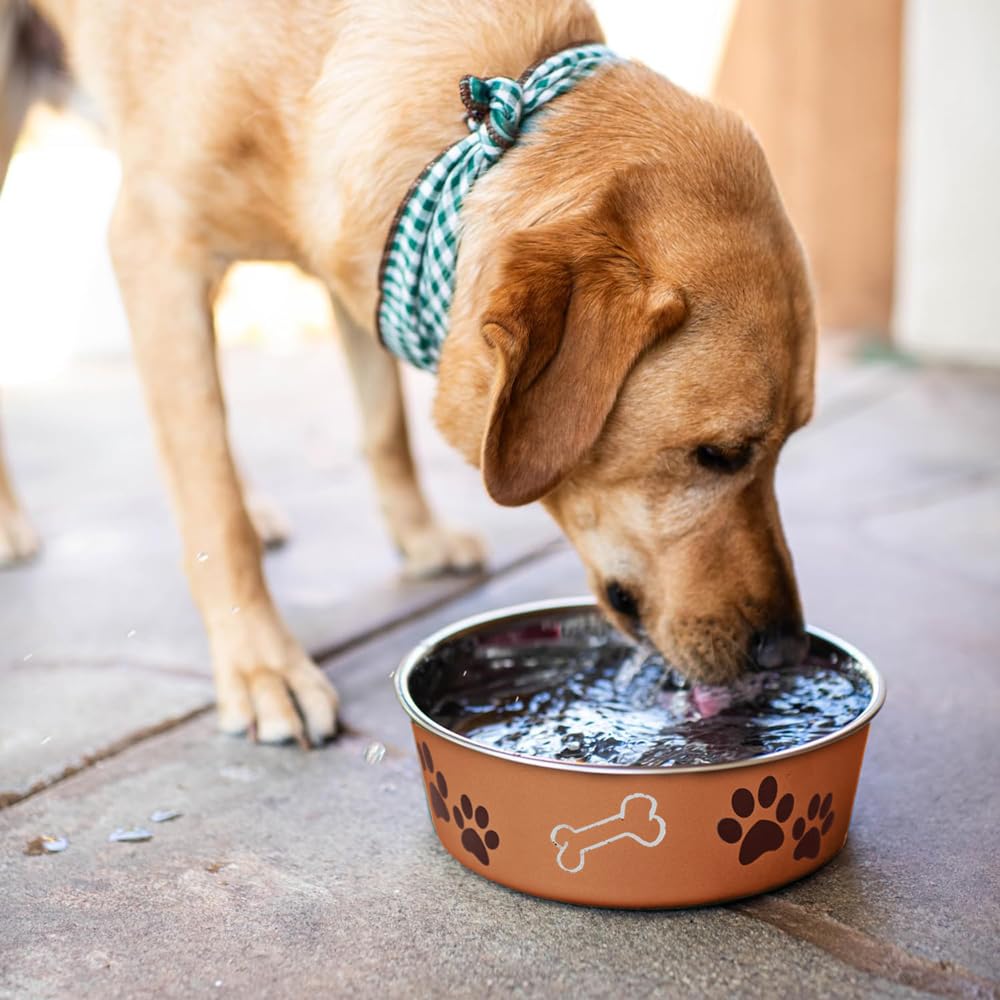 Loving Pets Bella Bowl is dishwasher safe for quick cleaning after meals