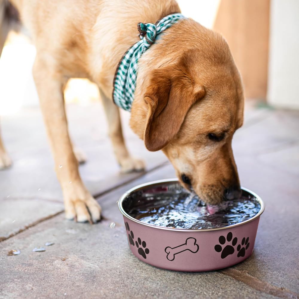 Loving Pets Bella Bowl durable exterior resists wear during meals.