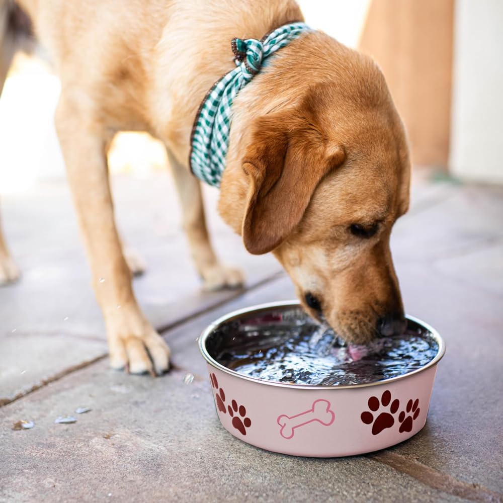 Loving Pets Bella Bowl vet-recommended for hygienic stainless steel feeding.