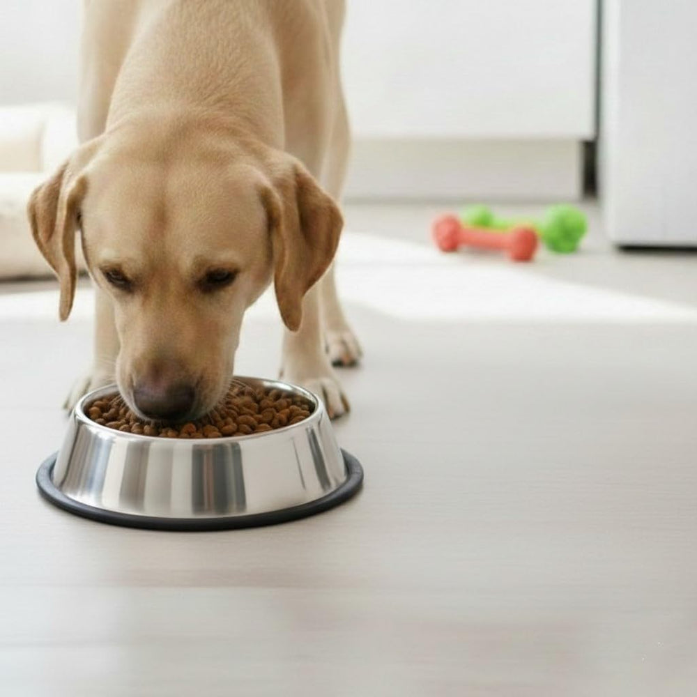 Dishwasher-safe stainless steel bowl ready for quick cleanup