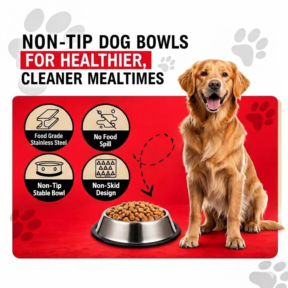 Heavy-duty no-spill bowl preventing sliding on tiled floors