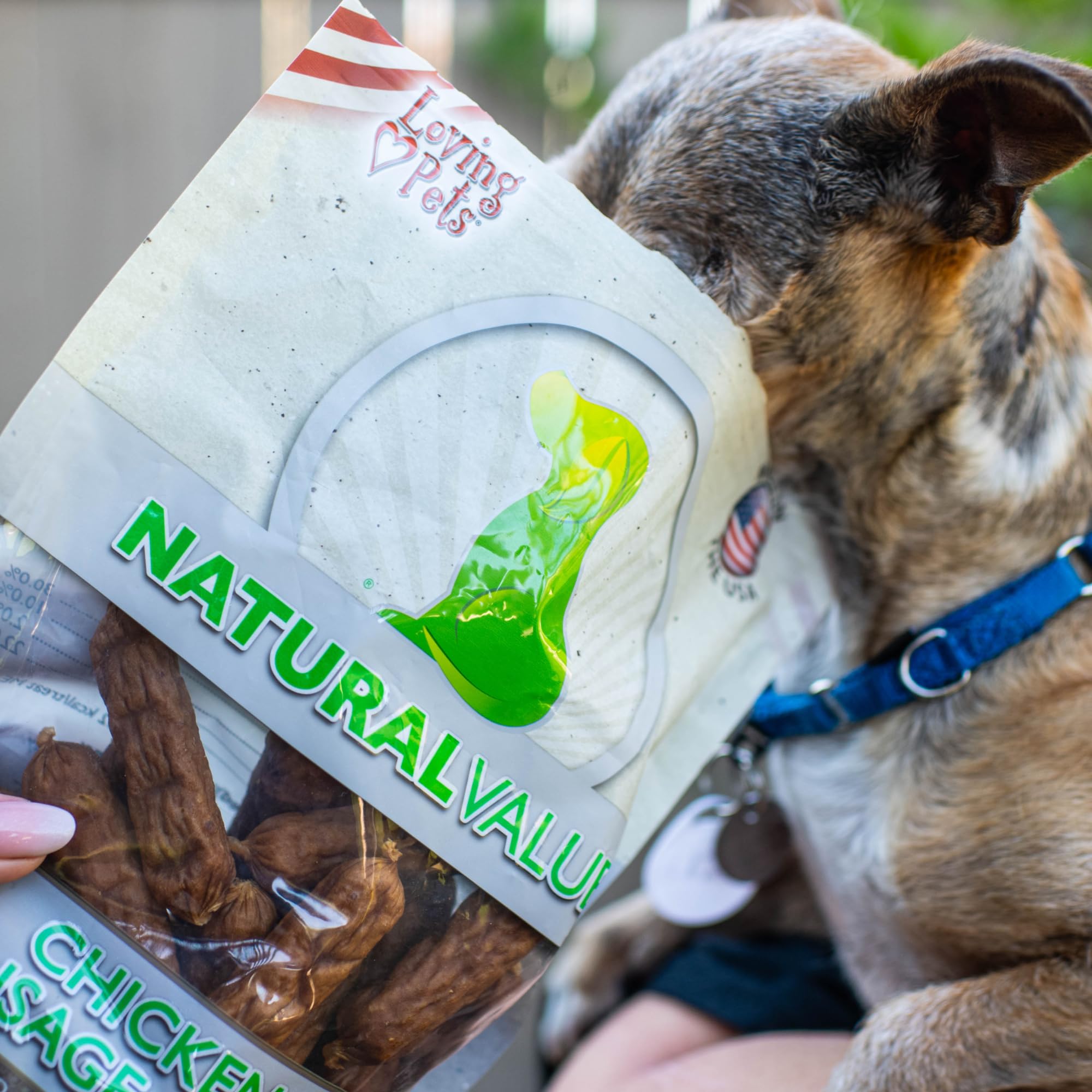 Loving Pets Natural Value Chicken Sausages grain-free ingredients for sensitive dogs.