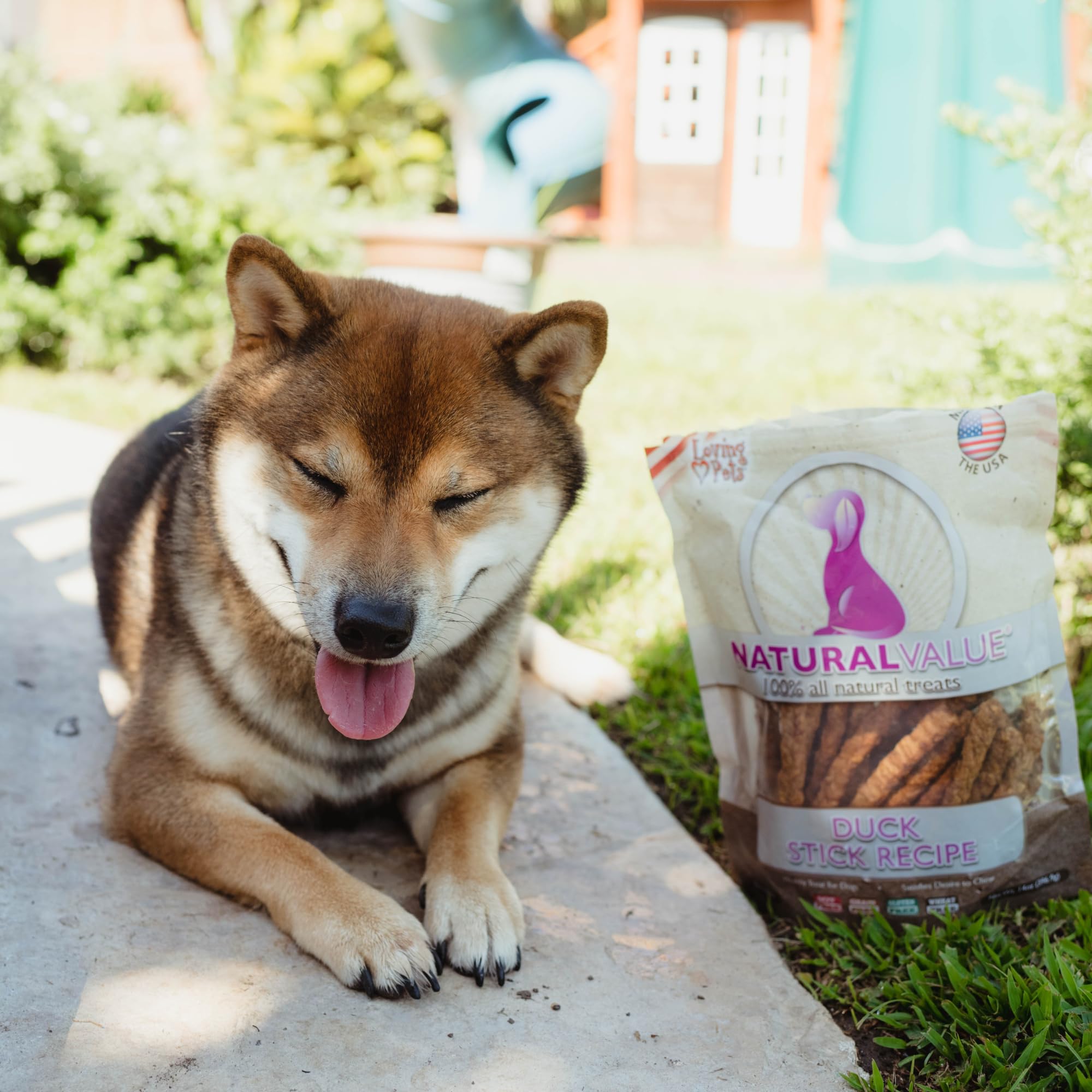 Loving Pets Natural Value Duck Sticks enjoyed by a dog during training.
