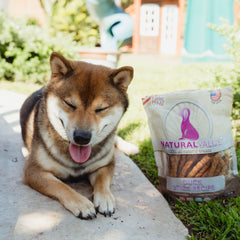 Loving Pets Natural Value Duck Sticks enjoyed by a dog during training.