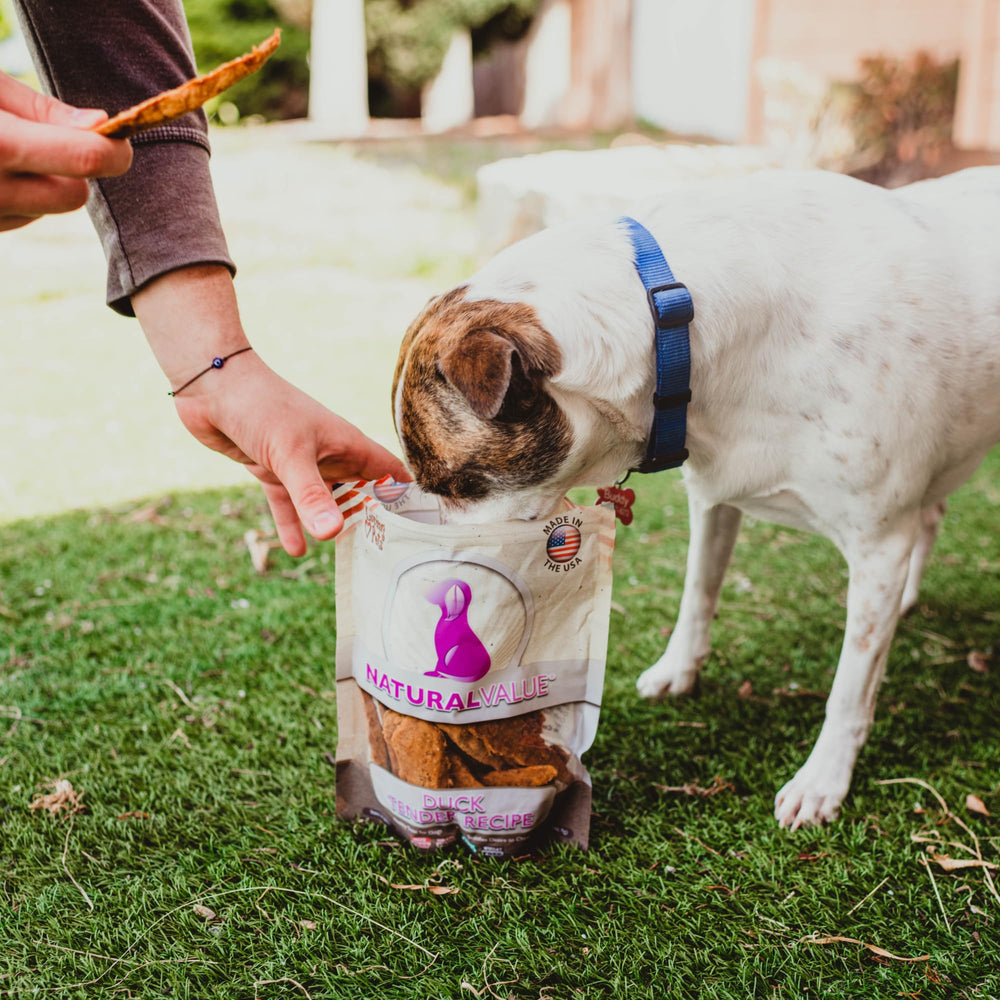 Loving Pets Natural Value Duck Tenders served as training treat.