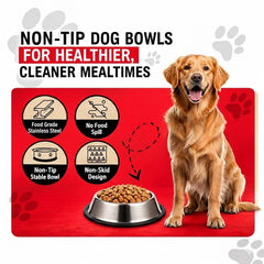 Loving Pets bowl shows removable rubber base for secure grip during meals.