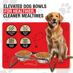 Loving Pets stainless steel bowls closeup highlights rust-resistant, easy-clean design.
