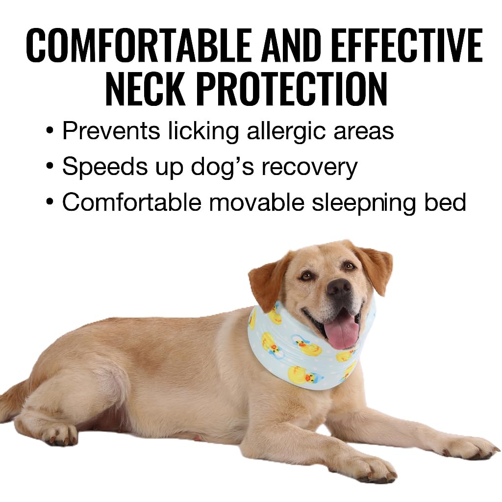 LovinPet adjustable-dog-collar-strap delivers secure, personalized fit