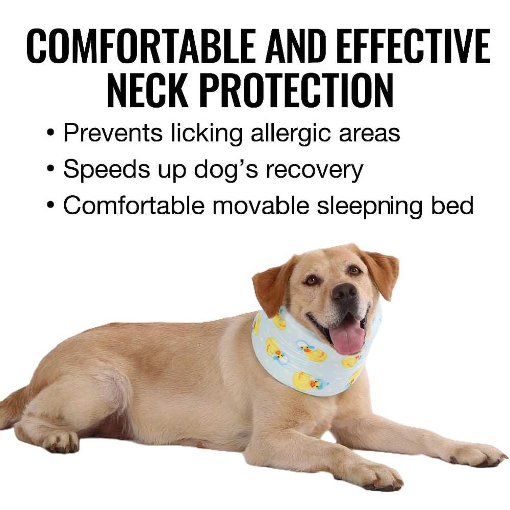 LovinPet adjustable-dog-collar-strap delivers secure, personalized fit
