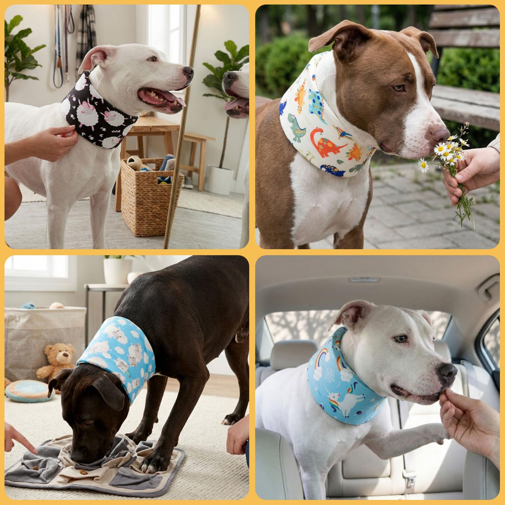 LovinPet daily-wear-dog-cone keeps dogs comfortable at home