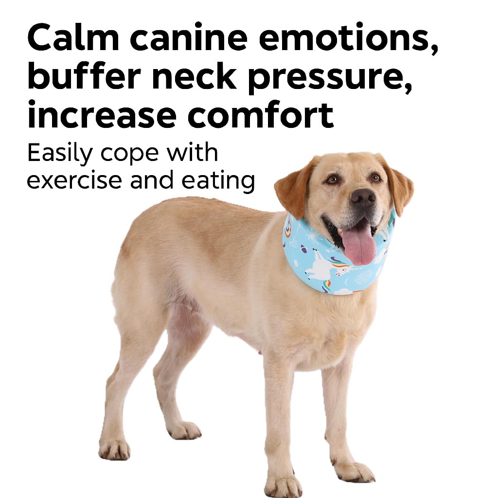 LovinPet dog eating while wearing the recovery collar for daily wear.