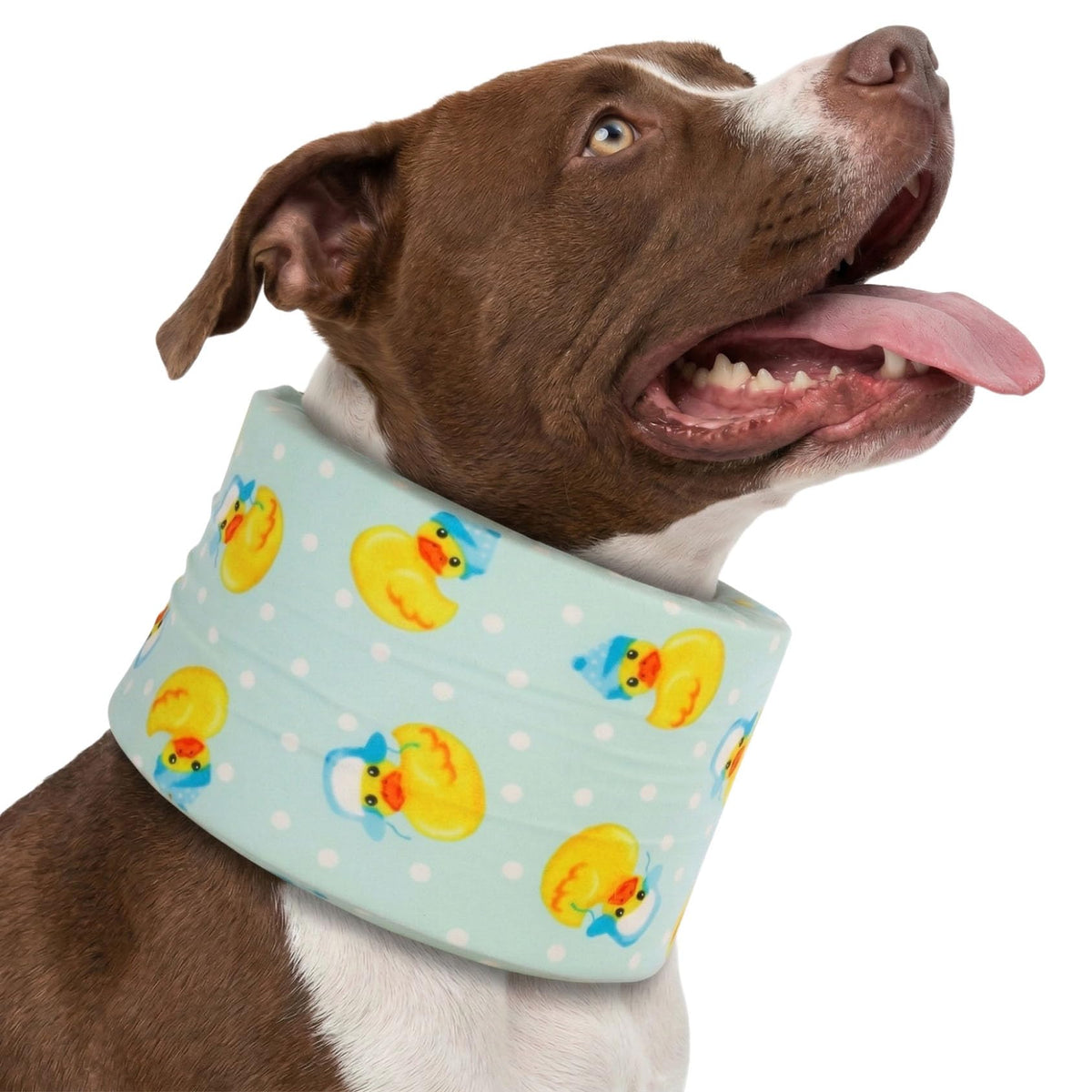 LovinPet Dog Recovery Collar blue with adjustable strap for post-surgery comfort