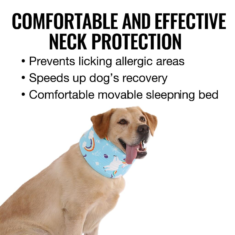 LovinPet dog relaxing at home wearing the soft recovery collar.