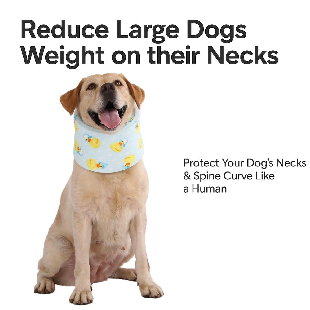 LovinPet-lick-prevention-cone helps reduce licking during recovery