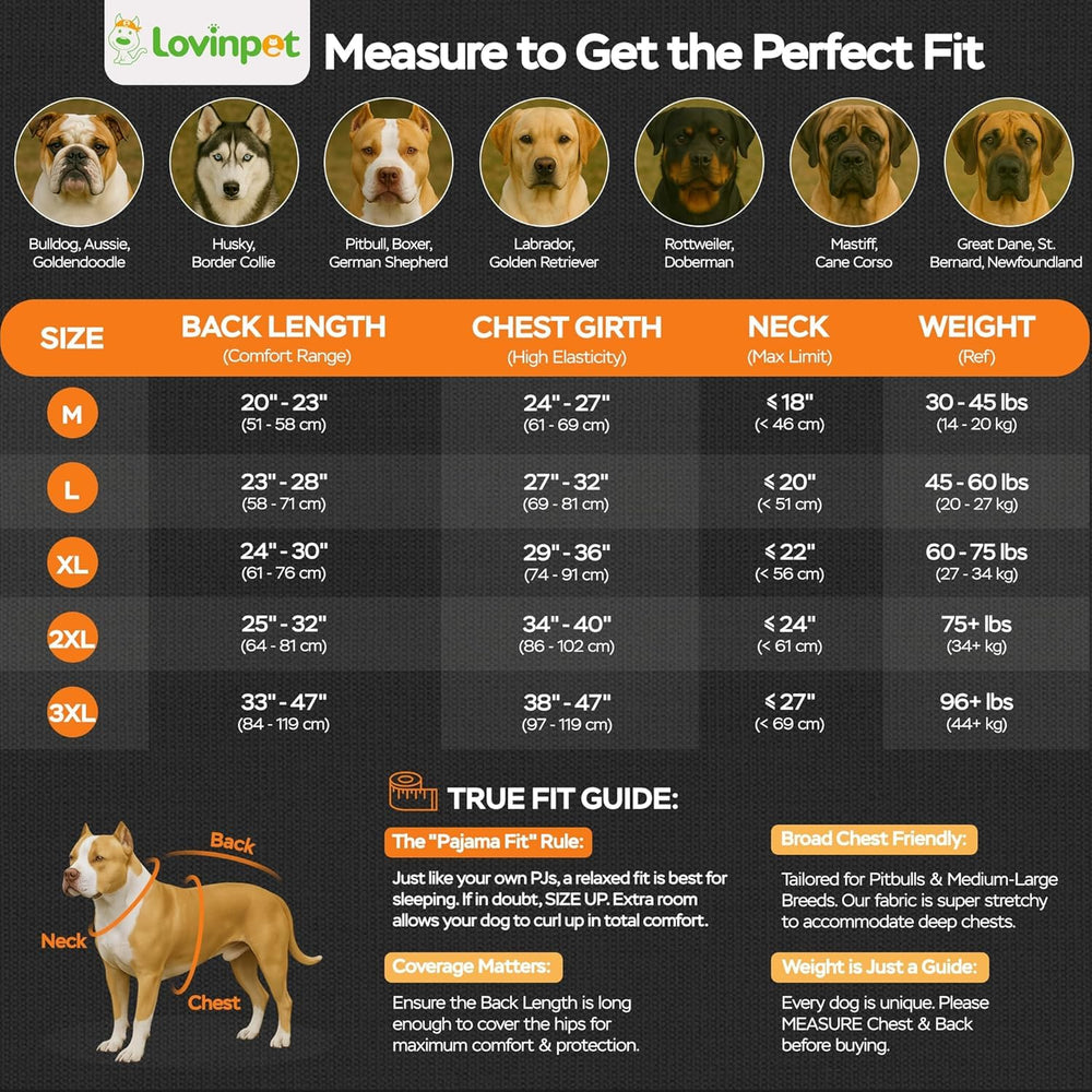 LovinPet recovery suit with UV protection for XXL dogs