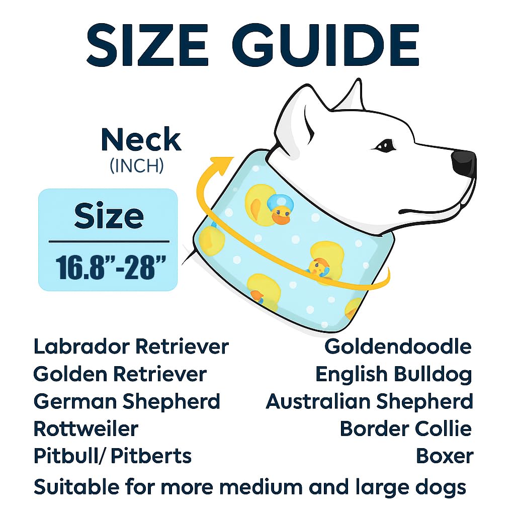 LovinPet soft memory-foam collar provides gentle support for healing