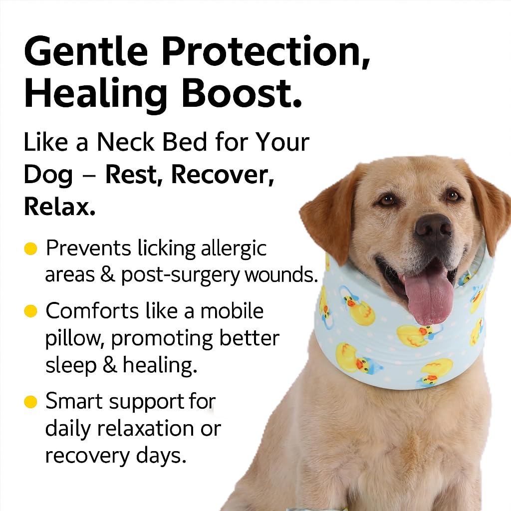 LovinPet travel-friendly-dog-collar supports calm vet visits