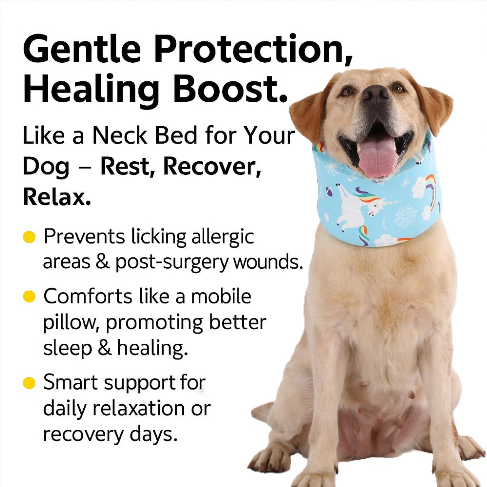 LovinPet collar helping calm dog during vet visits.