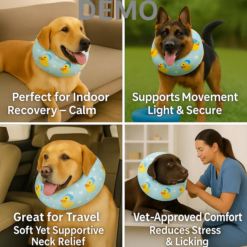 LovinPet washable-non-removable-cone stays clean with easy care