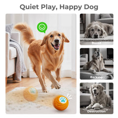 Lovkid ball auto-bounces to spark chasing instincts indoors or outdoors.