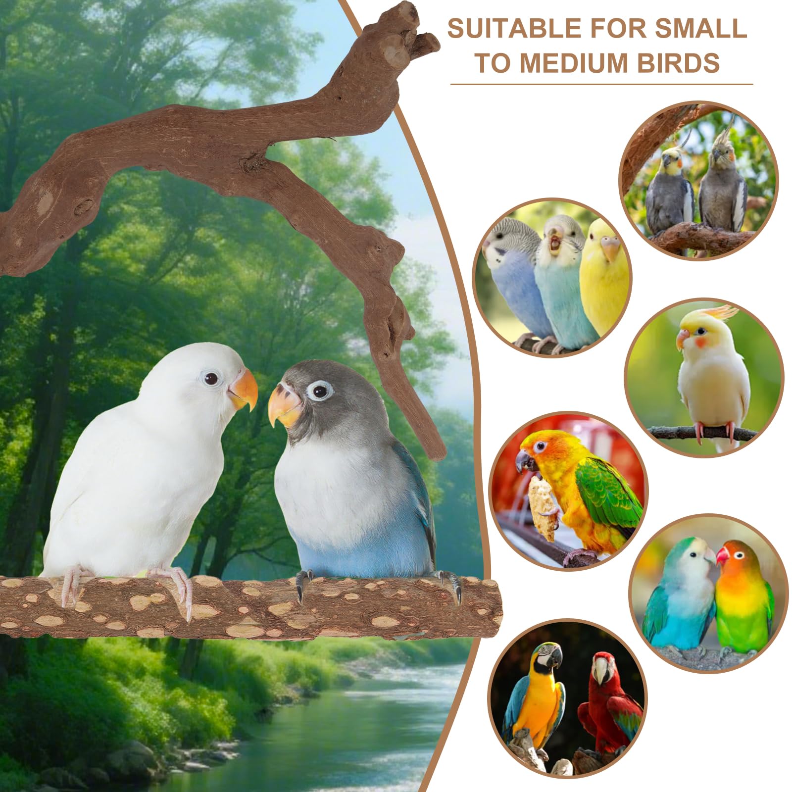 lovyoCoCo parrot-perch natural-wood textures support chew play.