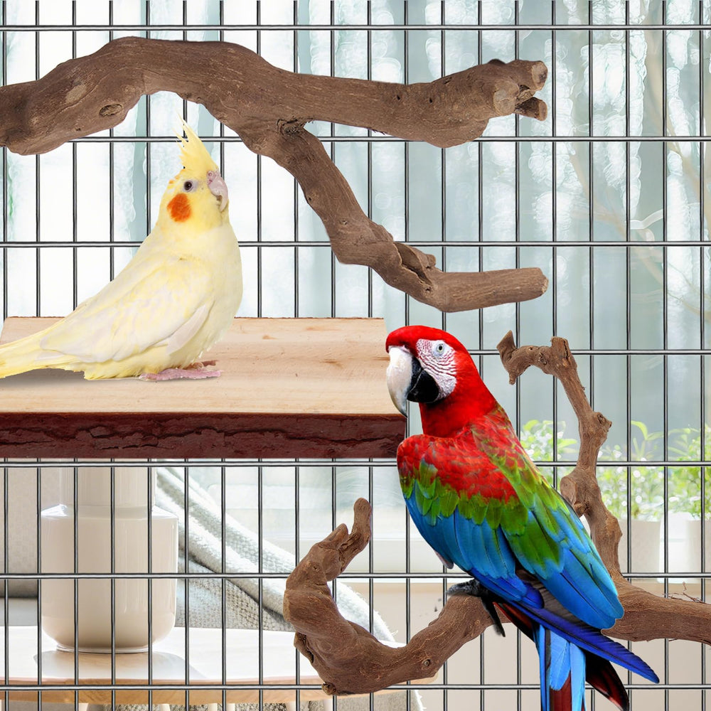 lovyoCoCo parrot-perch rectangle-snack invites treats and interactive play.