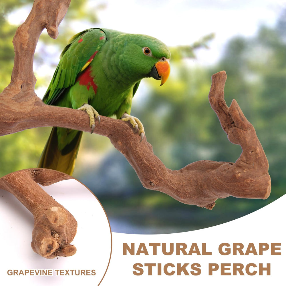 lovyoCoCo parrot-perch sunbathing-circle supports relaxed lounging and observation.