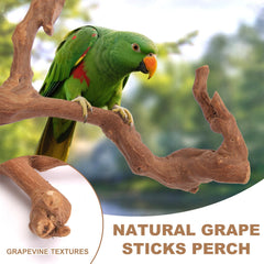 lovyoCoCo parrot-perch sunbathing-circle supports relaxed lounging and observation.