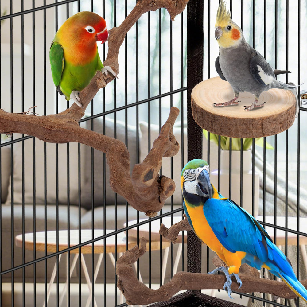 lovyoCoCo parrot-perch tool-free-setup enables quick rearrangement.