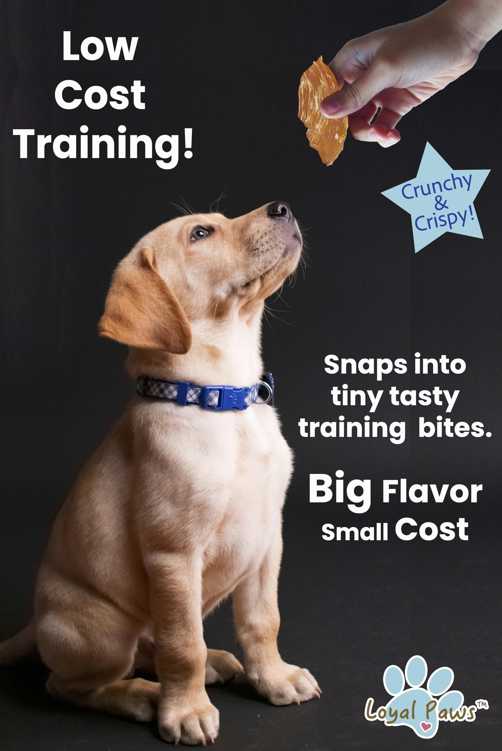 Grain-free, gluten-free Loyal Paws jerky suitable for sensitive dogs.