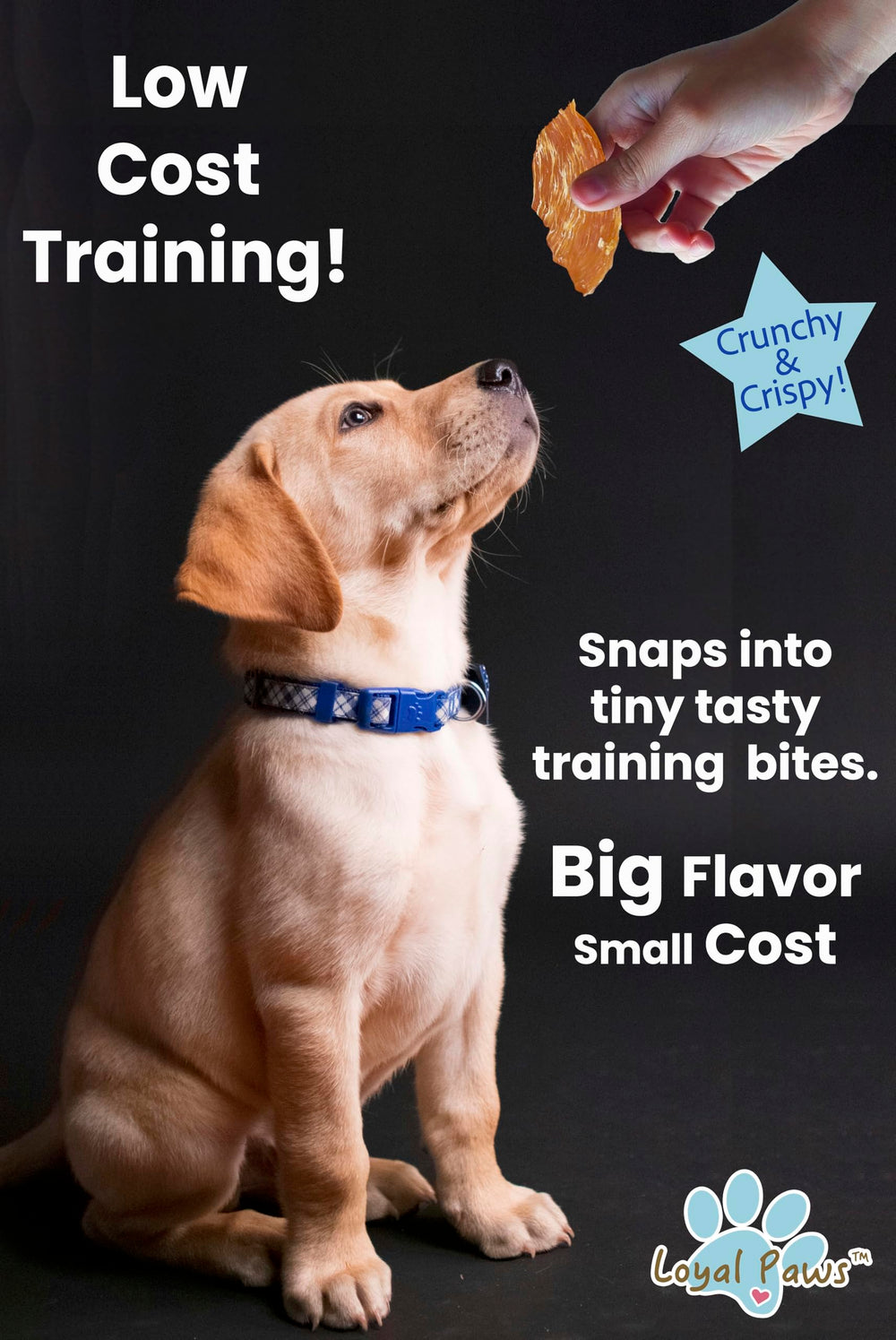 Grain-free, gluten-free Loyal Paws jerky suitable for sensitive dogs.