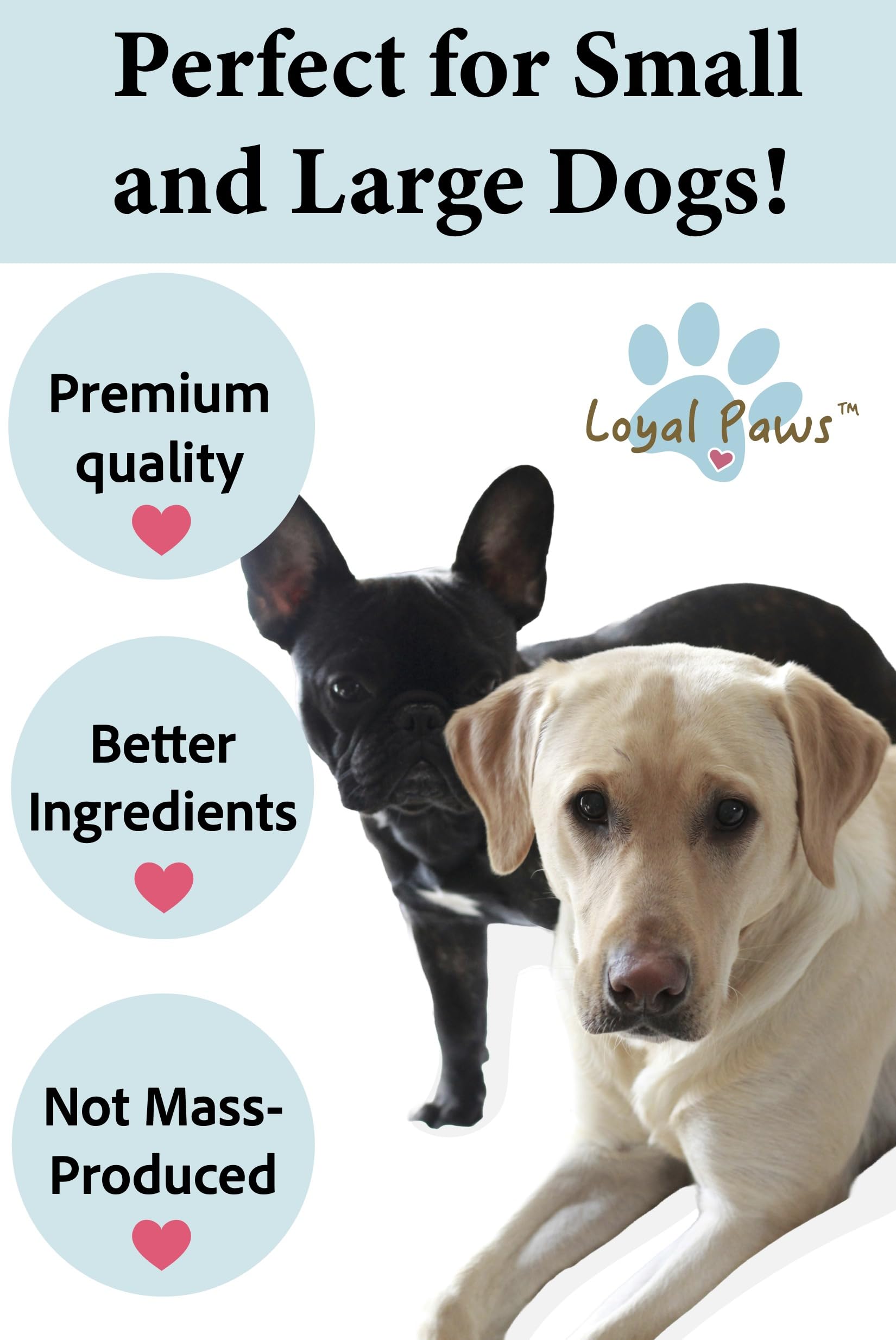 Loyal Paws serving guide graphic, easy daily portions for small to large dogs.