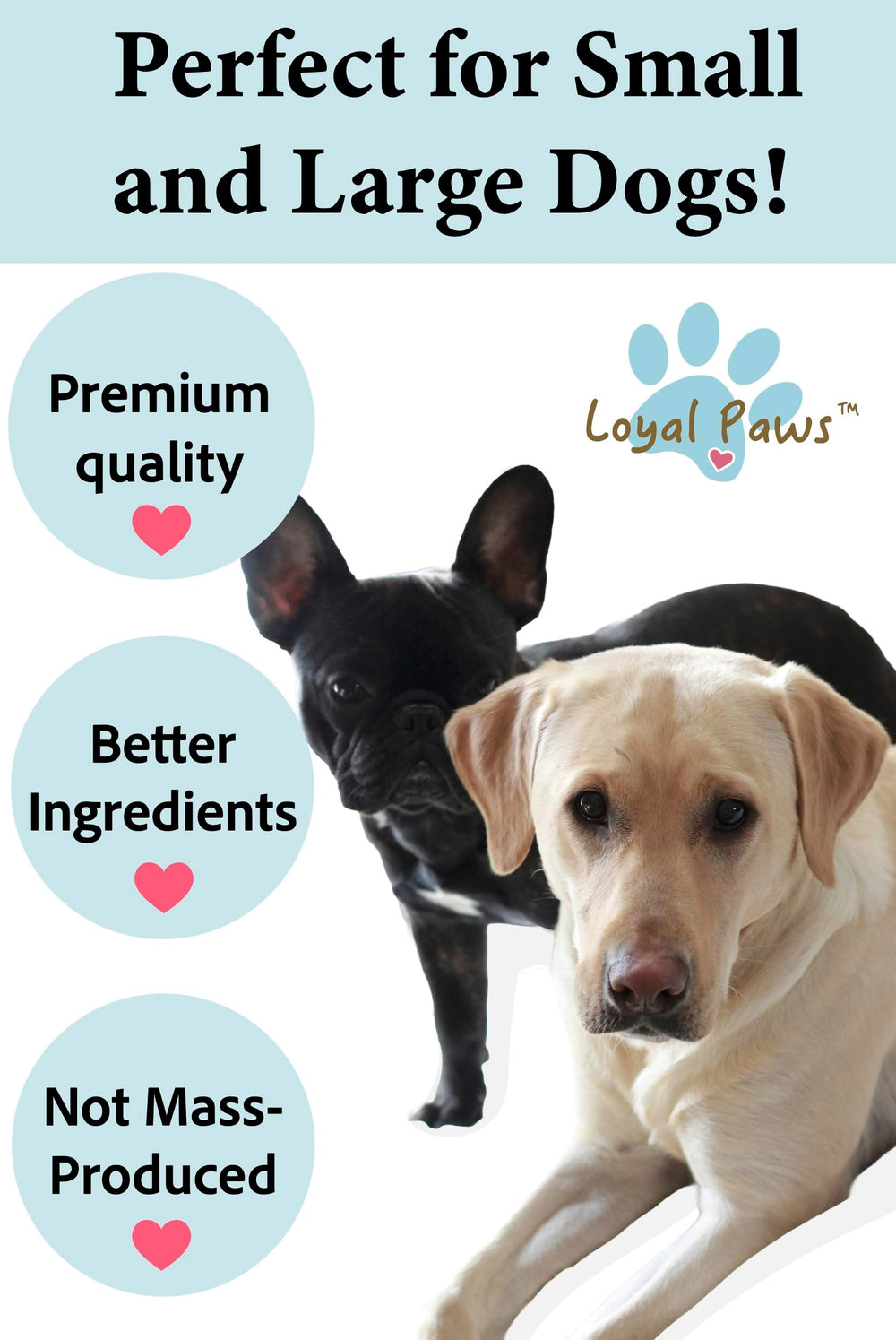 Loyal Paws serving guide graphic, easy daily portions for small to large dogs.