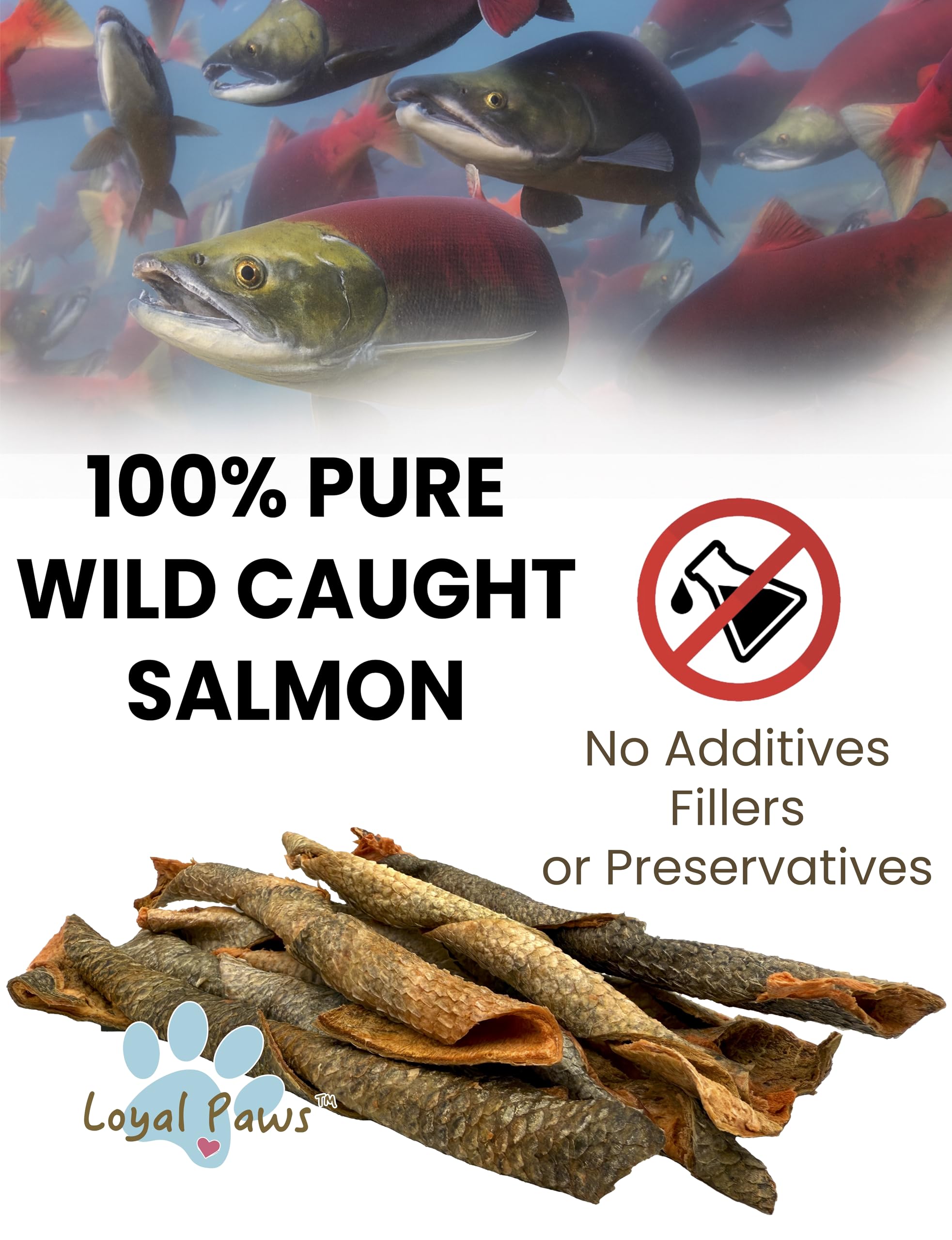 Loyal Paws single-ingredient salmon skin bag art, ideal for sensitive stomachs.