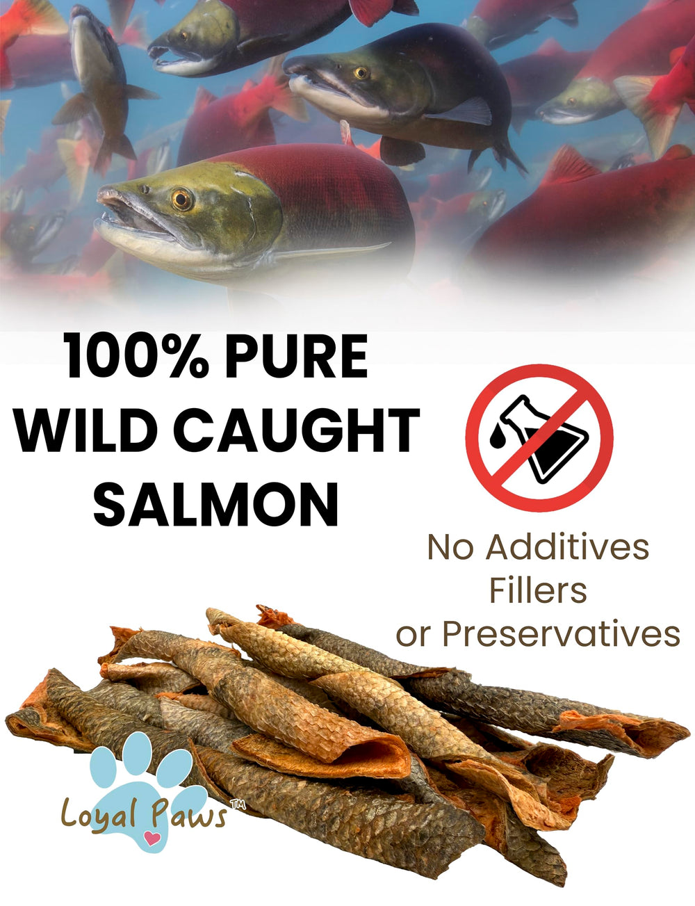 Loyal Paws single-ingredient salmon skin bag art, ideal for sensitive stomachs.
