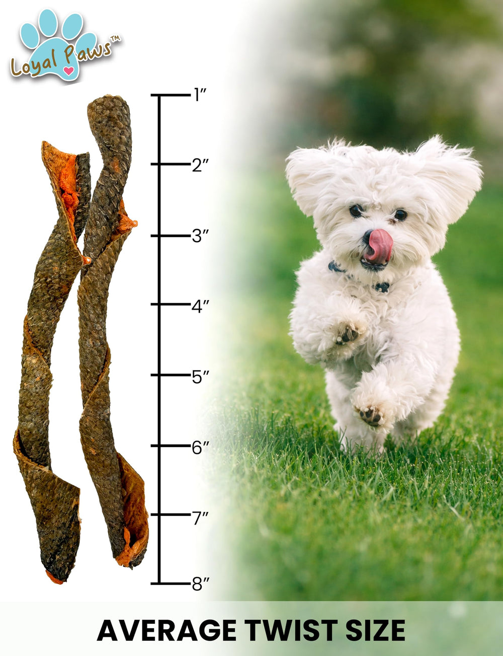 Loyal Paws taurine-included salmon skins, natural fats for energy and overall vitality.