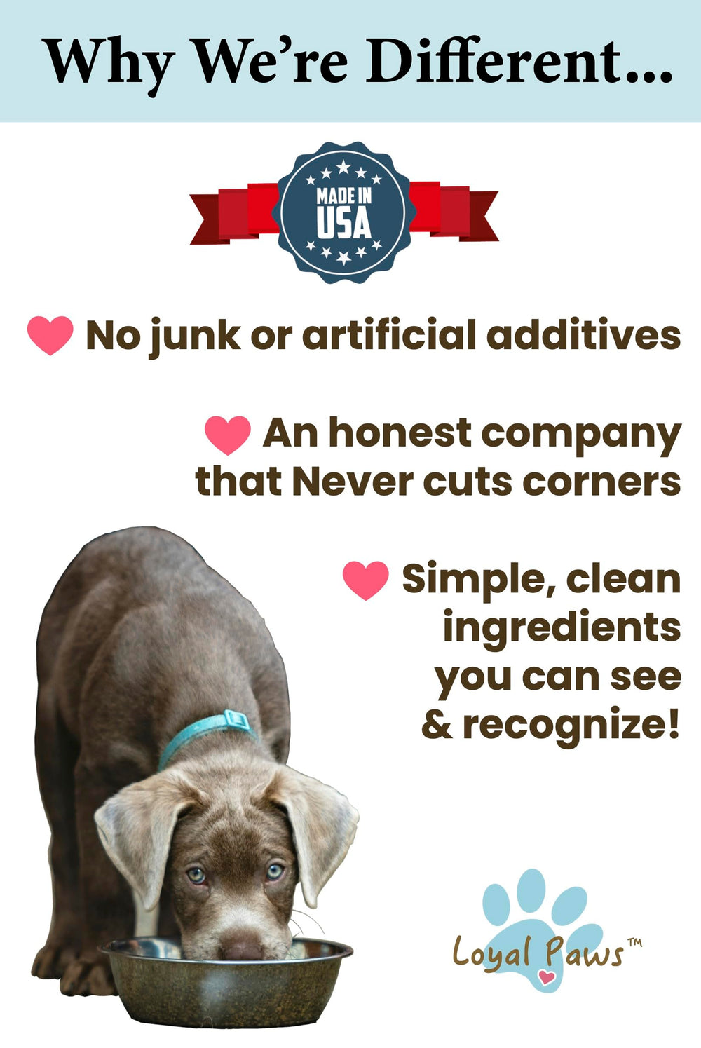 Loyal Paws USA-made label close-up, showcasing human-grade, limited-ingredient salmon skin.