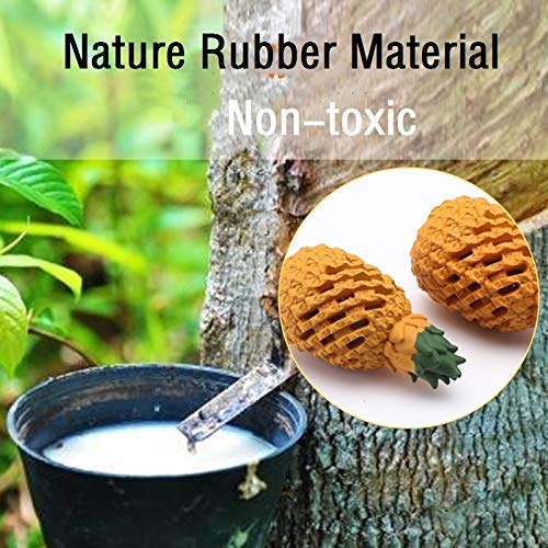 LPHSNR easy-clean durable dog toy shown in close-up.