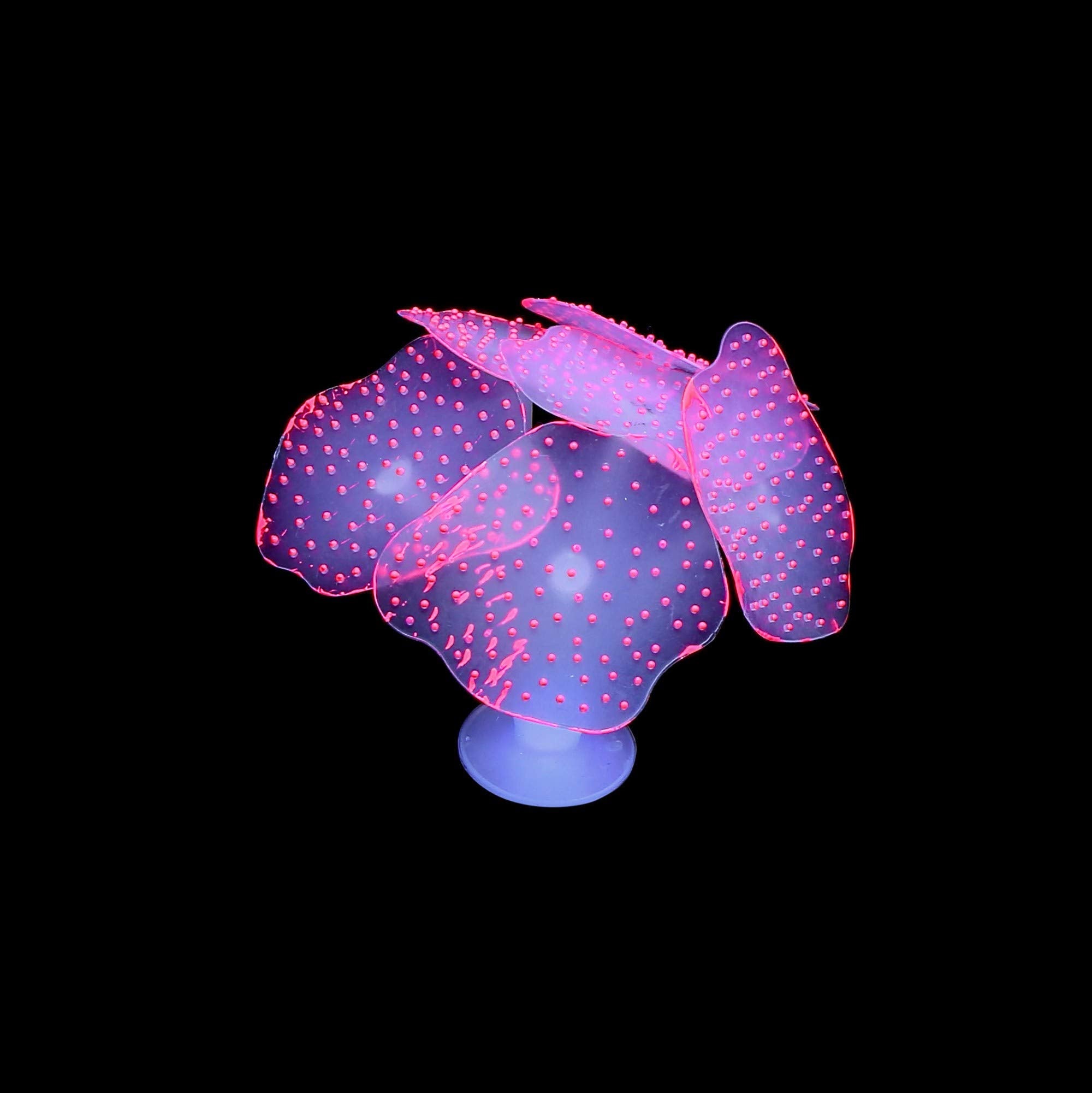 Lpraer glow aquarium decor set with stable suction base for easy placement