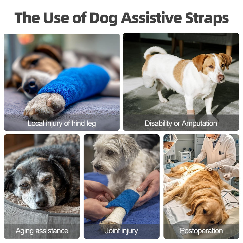 Lqyom dog sling ergonomic foam handle offers secure grip for caregivers