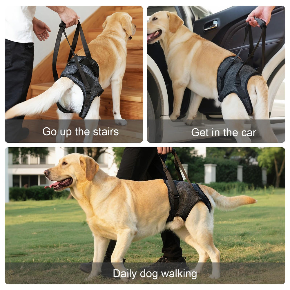 Lqyom dog sling reinforced stitching with adjustable straps ensures a secure fit