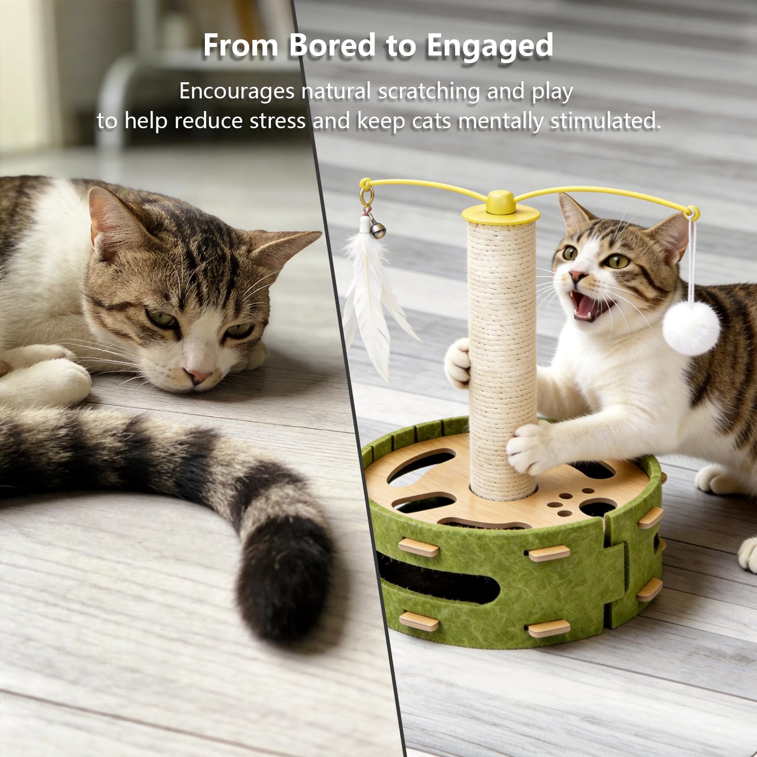 Luampo cat nail file enrichment box multiple pawing openings for exploration