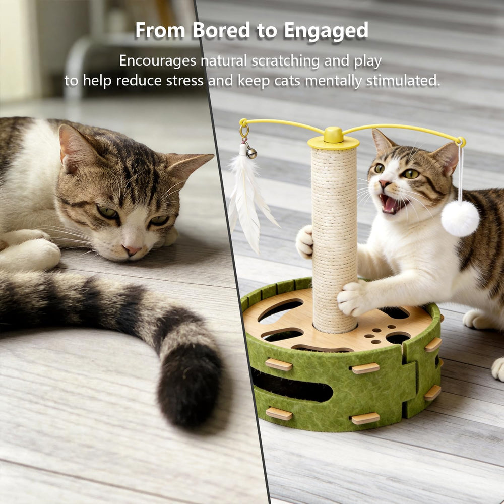 Luampo cat nail file enrichment box multiple pawing openings for exploration