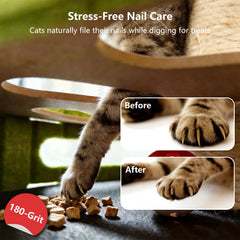 Luampo cat nail file enrichment box rotating teaser balls engage independent play and curious pawing
