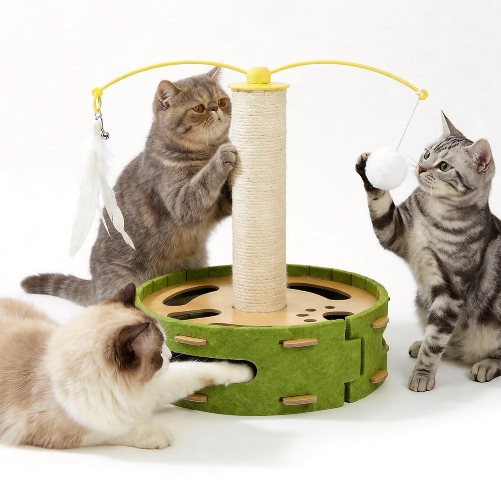 Luampo cat nail file enrichment box with scratching post for natural claw filing during play